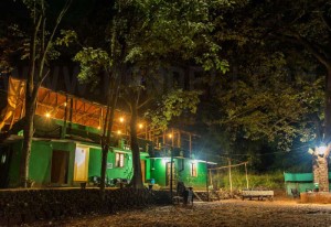 Shared Picnic Tables